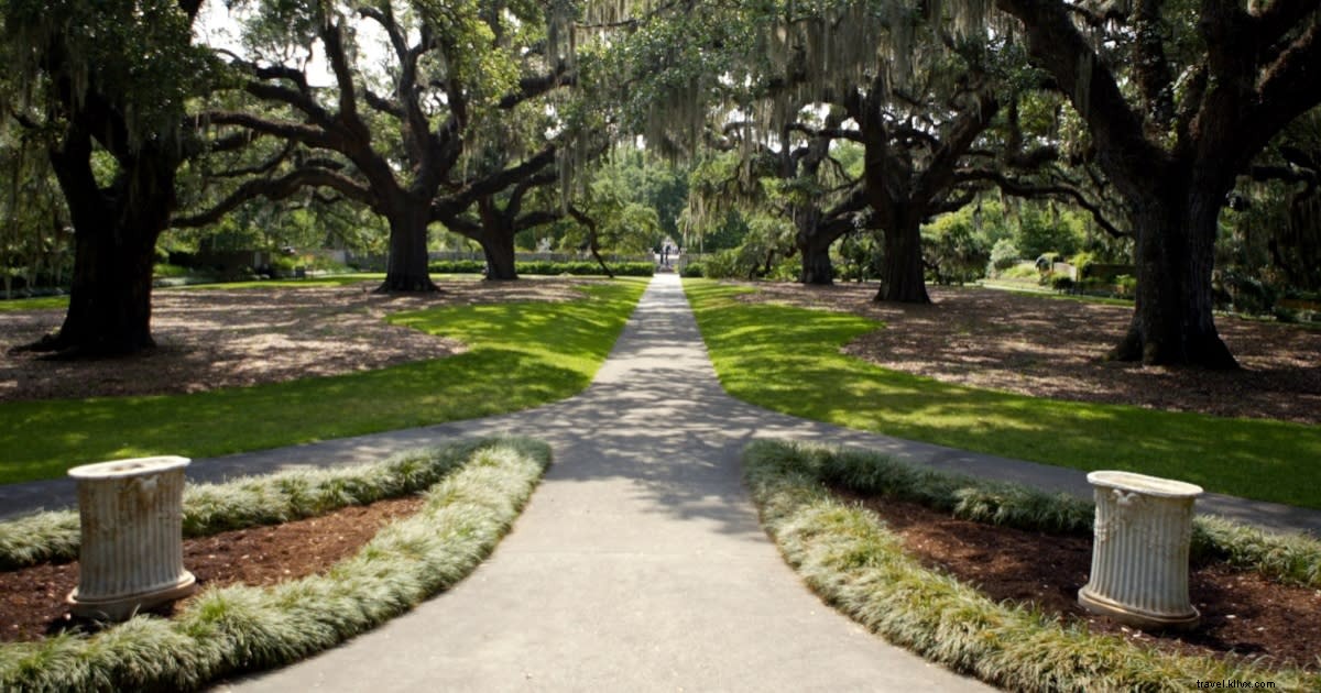 Top 5 Fall Photo Spots in Myrtle Beach, SC: Stunning Family Portrait Locations