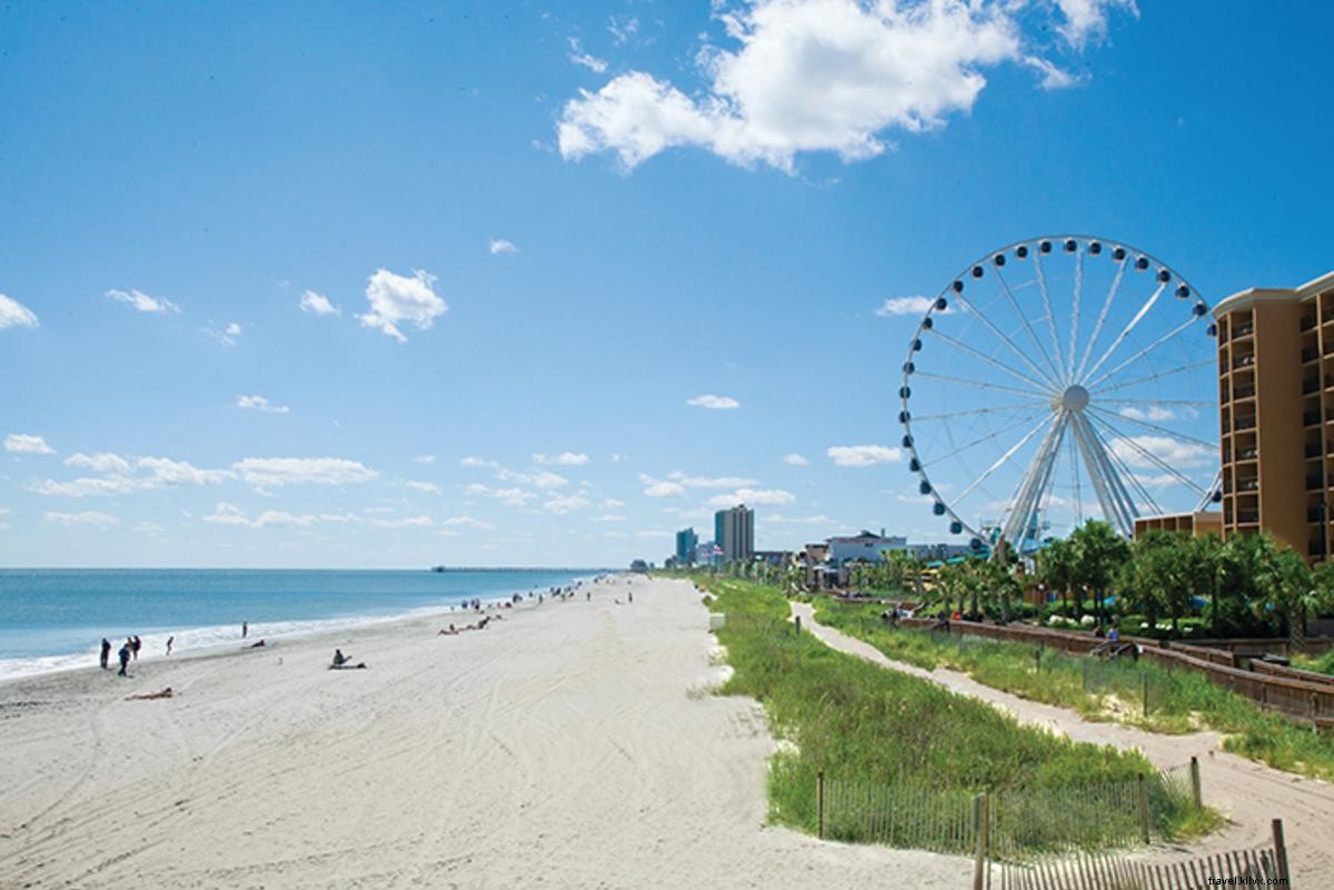 Top 5 Fall Photo Spots in Myrtle Beach, SC: Stunning Family Portrait Locations