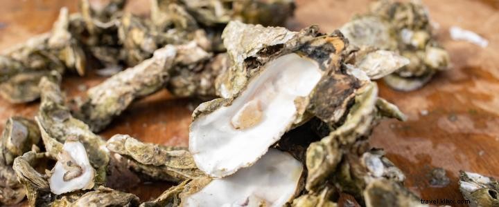 7 Top Myrtle Beach Spots for Fresh Oysters This Fall