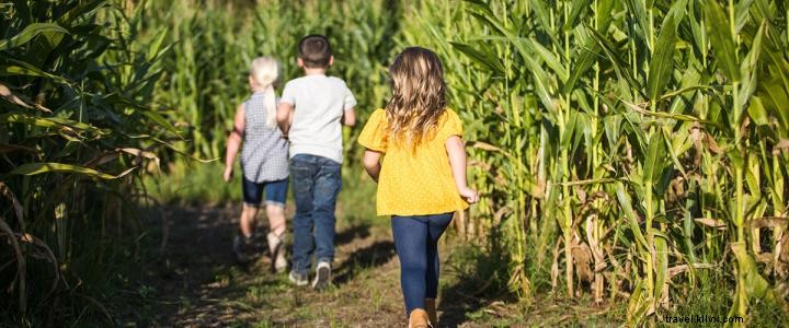 5 Fright-Free Halloween Activities for Kids in Myrtle Beach