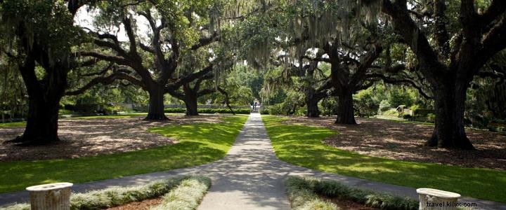 Top 10 Best Walking Trails in Myrtle Beach for Perfect Fall Strolls
