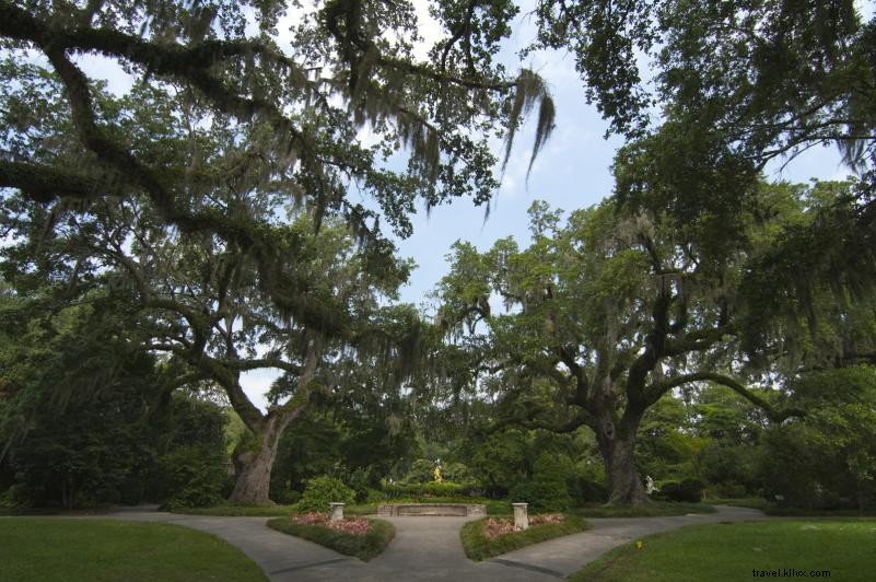 Top 10 Best Walking Trails in Myrtle Beach for Perfect Fall Strolls