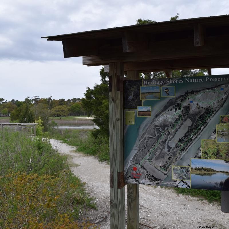 Top 10 Best Walking Trails in Myrtle Beach for Perfect Fall Strolls