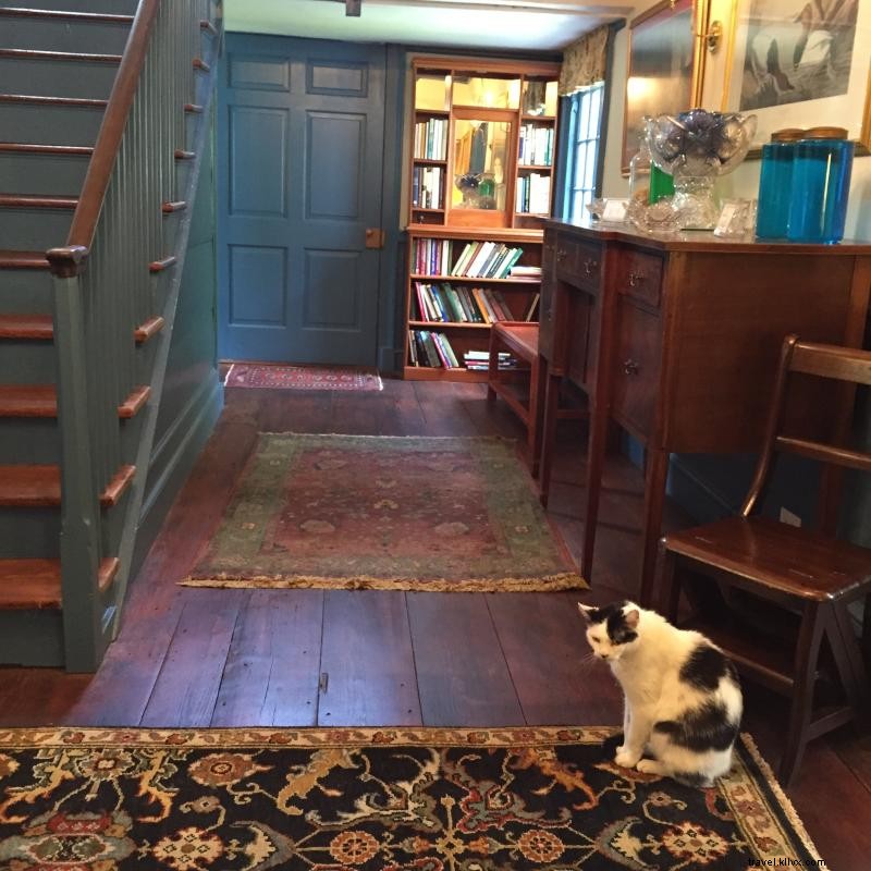 Discover Hopsewee Plantation: A Historic Treasure Near Myrtle Beach