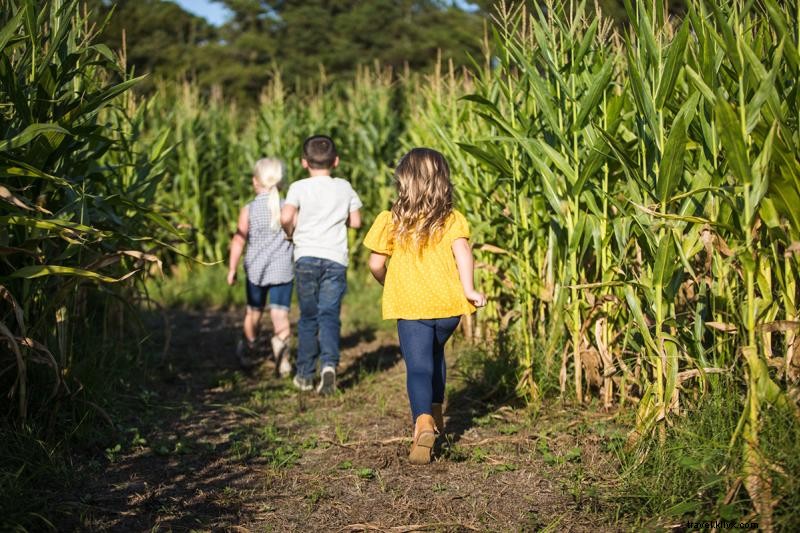 Top 8 Fall Activities for Kids and Families in Myrtle Beach, South Carolina