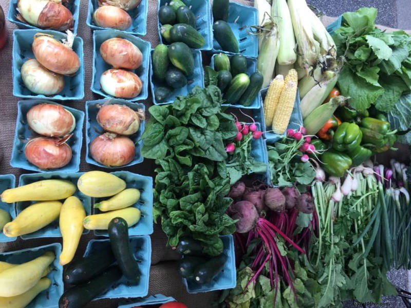 Top 8 Fall Activities for Kids and Families in Myrtle Beach, South Carolina