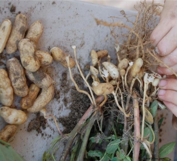 Top 8 Fall Activities for Kids and Families in Myrtle Beach, South Carolina