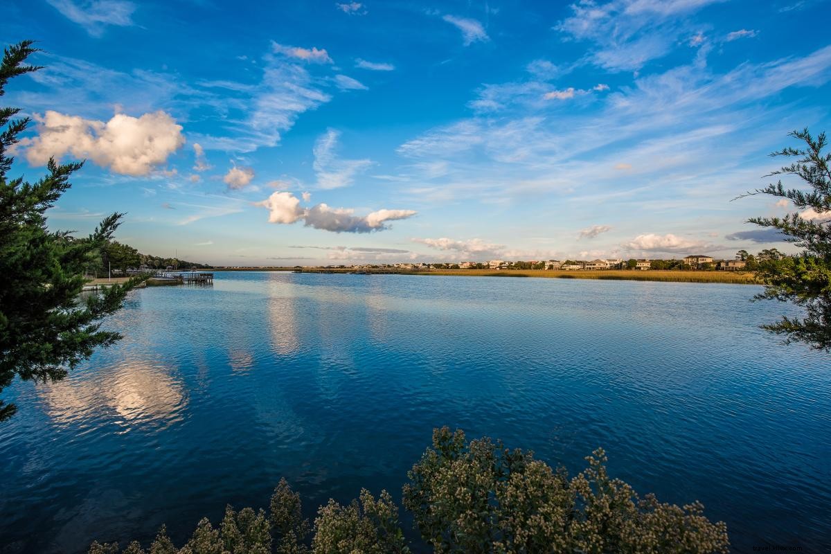 Alligators on Myrtle Beach Beaches: Why They Appear and How to Stay Safe