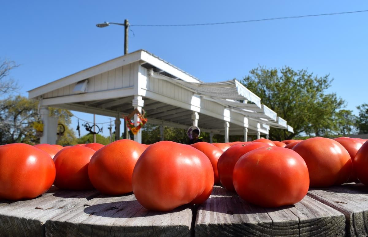 Discover Fresh Farmers  Markets Along the Grand Strand: Your Guide to Local Produce