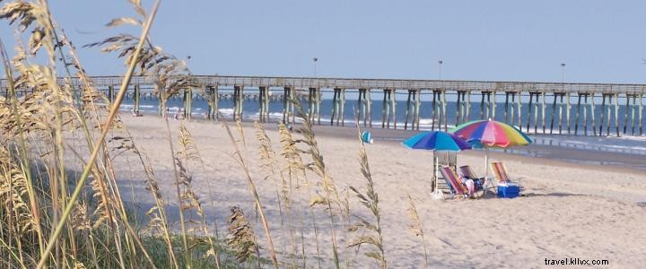 Earth Day in Myrtle Beach: Protecting Our Beaches, Wildlife, and Coastline Every Day