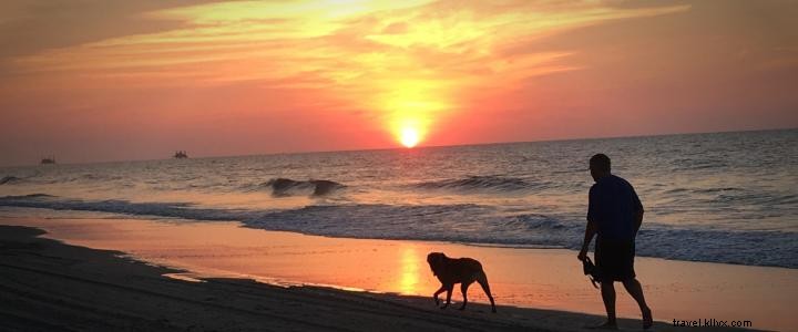Pet-Friendly Myrtle Beach: Accommodations, Parks, Beaches & Dining for Your Furry Companion