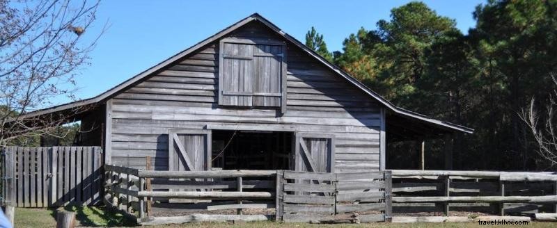 Discover the Rich African American Heritage Shaping the Grand Strand s History
