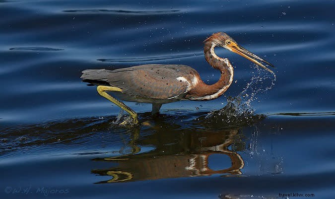 4 Must-Do Activities to Maximize Longer Days at Myrtle Beach