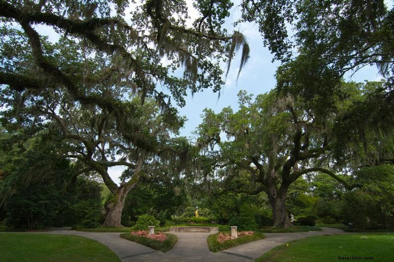 Valentine s Day 2021: Romantic Getaway Ideas in Myrtle Beach, SC