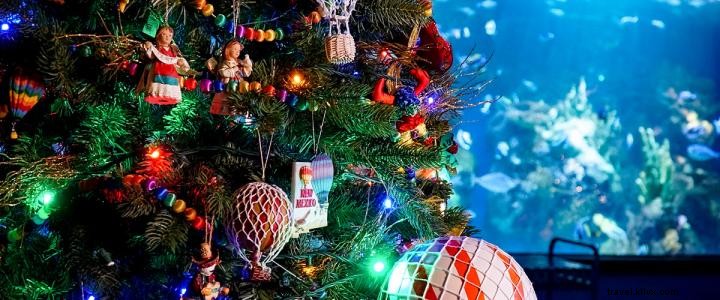 12 Days of Christmas, Day 10: Discover Ripley s Festival of Trees at Myrtle Beach Aquarium