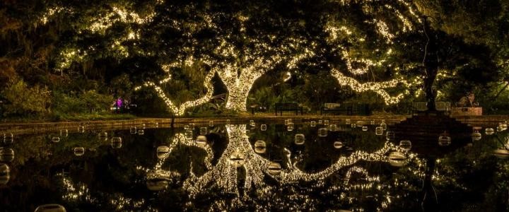 12 Days of Christmas, Day 7: Brookgreen Gardens  Nights of a Thousand Candles – A Magical Holiday Must-See