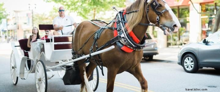 12 Days of Christmas, Day 5: Enjoy Free Horse-Drawn  Sleigh  Rides at The Market Common