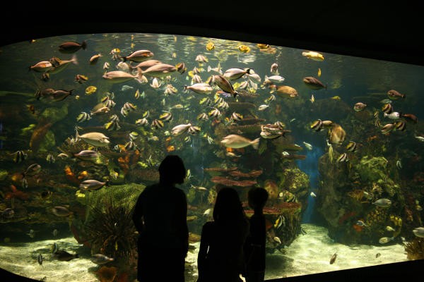 Gift a Myrtle Beach Beach Vacation: The Perfect Holiday Travel Surprise