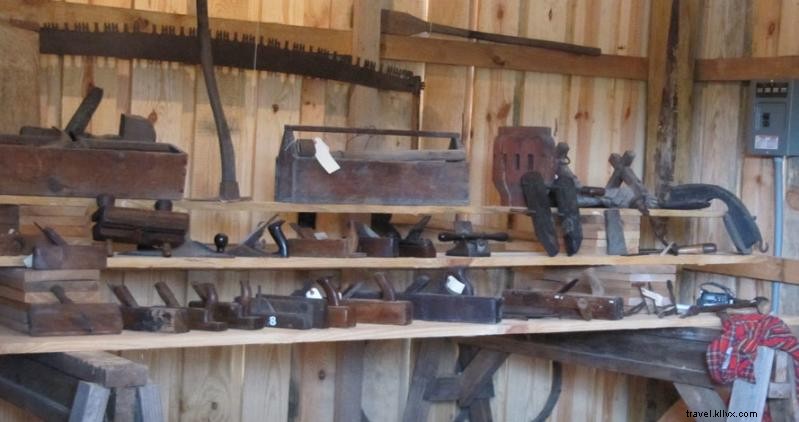 Horry County Museum Highlights Local Scuppernong and Muscadine Grapes with Free Events