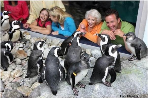 5 Science-Backed Reasons to Escape to Myrtle Beach for Better Health