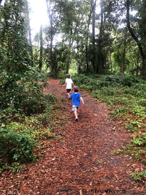 Discover Ingram Dunes: North Myrtle Beach s Hidden Relic Dune Preserve