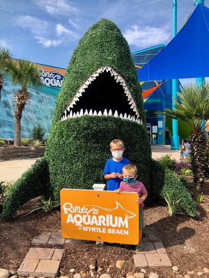 Safe Family Fun at Ripley s Aquarium and Rockin  Jump: Myrtle Beach Attractions with Enhanced COVID Safety