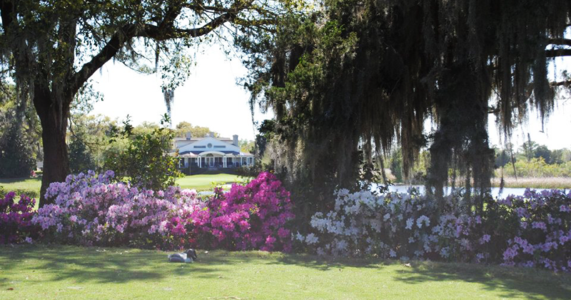 Golfweek Ranks Three Myrtle Beach Courses Among America s Top 100 Public Golf Courses