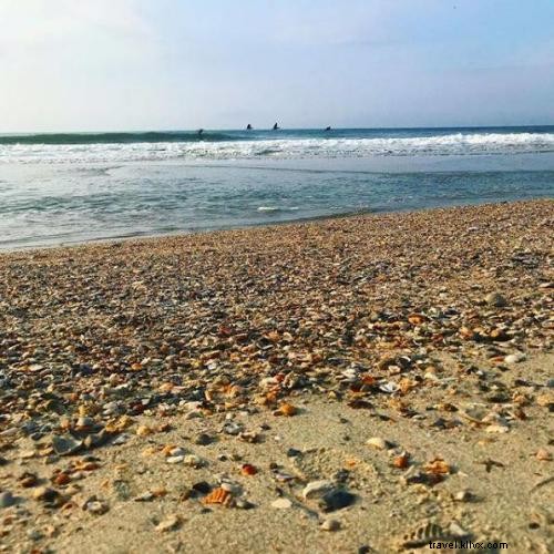 Ultimate Guide to Seashell Hunting in Myrtle Beach: Celebrate Summer and National Seashell Day