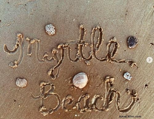 Ultimate Guide to Seashell Hunting in Myrtle Beach: Celebrate Summer and National Seashell Day