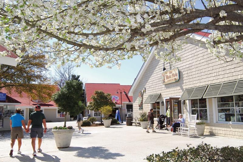 Top Socially Distanced Activities for International Visitors in Myrtle Beach s Grand Strand