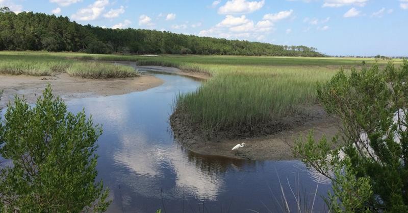 5 Compelling Reasons to Host Your Reunion in Myrtle Beach