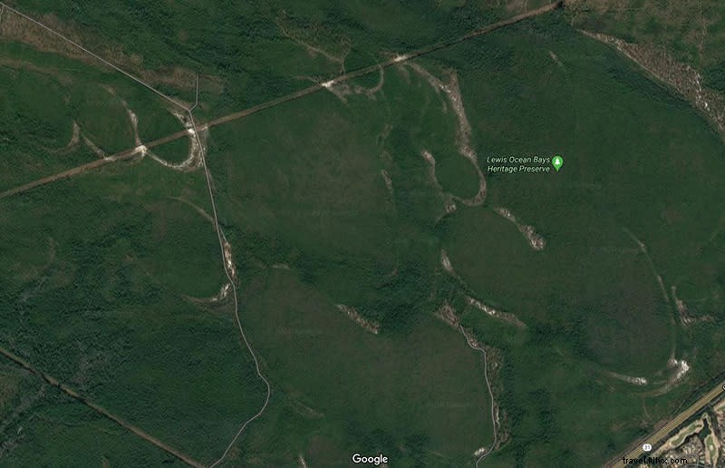 Explore Lewis Ocean Bay Heritage Preserve: A 10,000-Acre Nature Haven Near Myrtle Beach