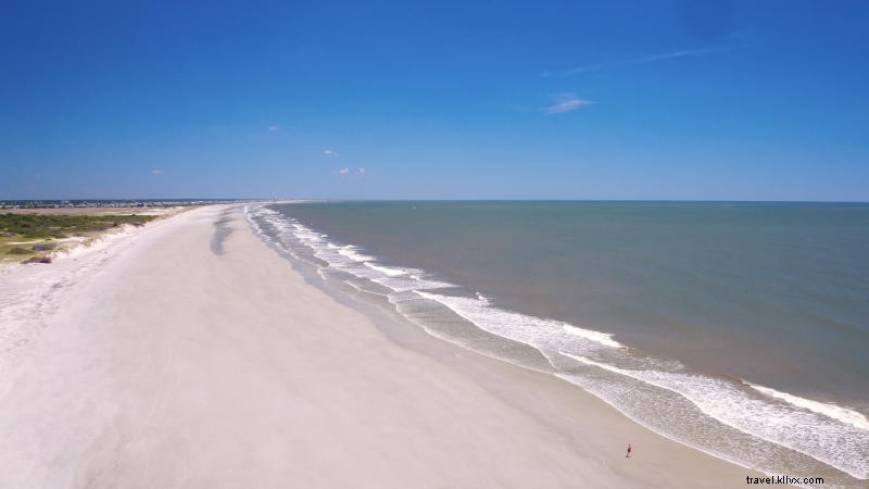 Celebrating Earth Day 2020 in Myrtle Beach: Family-Friendly Ways to Protect Our Planet from Home