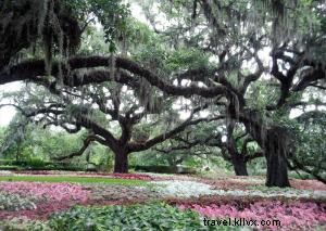 Ultimate 5-Day Family-Friendly Spring Break Itinerary in Myrtle Beach