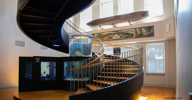 Discover the Rich History of South Carolina s Grand Strand