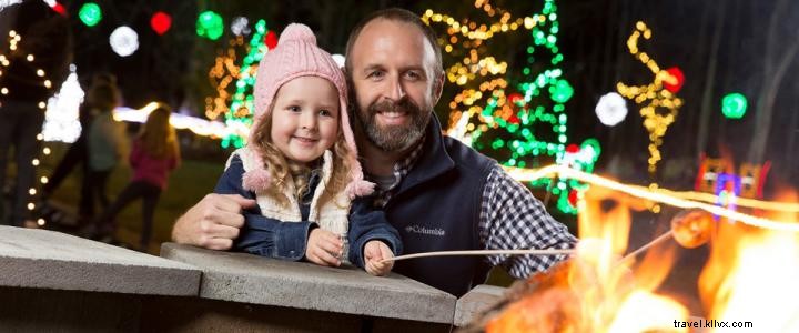 Experience Magical Holiday Lights at The Great Christmas Light Show in North Myrtle Beach