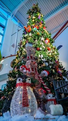 Festival of Trees: Enchanting Holiday Display at Ripley s Aquarium of Myrtle Beach