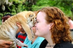 Push Your Boundaries: Thrilling Adventures in Myrtle Beach This Fall