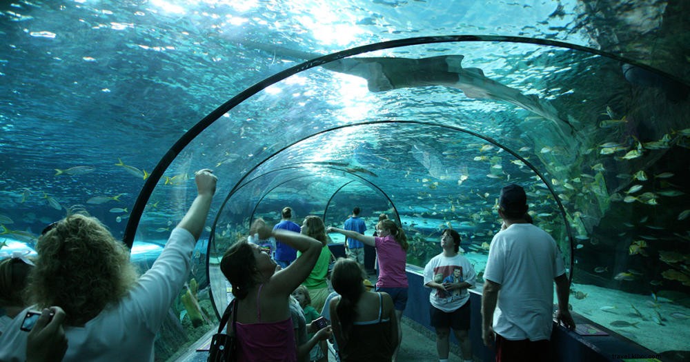 Top Midday Indoor Activities for Kids in Myrtle Beach: Rain or Shine Family Fun