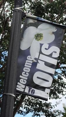 Discover Loris, South Carolina: Authentic Southern Charm and Chicken Bog Fame Beyond Myrtle Beach