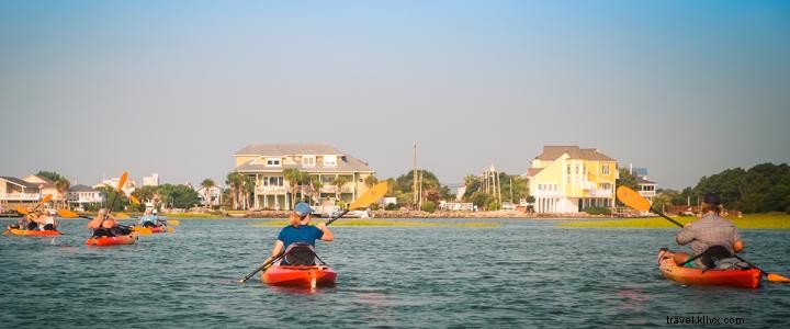 Discover Myrtle Beach s Natural Wonders: Premier Kayak Tours and Rentals