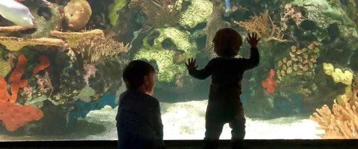 Top 10 Kid-Friendly Activities in Myrtle Beach Beyond the Beach