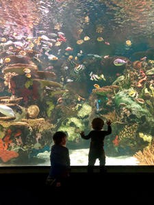 Top 10 Kid-Friendly Activities in Myrtle Beach Beyond the Beach