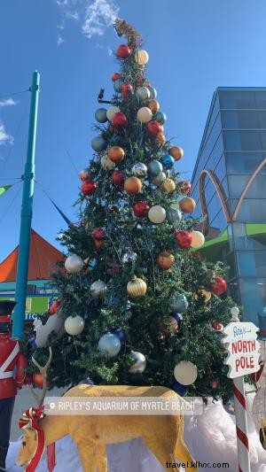 Top Myrtle Beach Holiday Photo Spots: Capture Magical Christmas Memories
