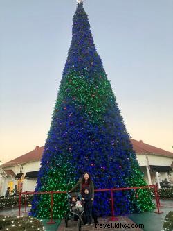 Stunning 46-Foot Sequoia Christmas Tree Illuminates Broadway at the Beach