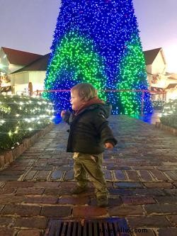 Stunning 46-Foot Sequoia Christmas Tree Illuminates Broadway at the Beach
