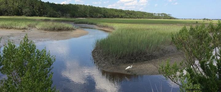 Explore North Inlet Creeks: Guided Kayak Tour in Myrtle Beach s Pristine Wetlands