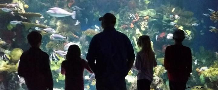 Top Educational Attractions in Myrtle Beach for Family Vacations