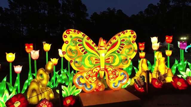 Brookgreen Gardens Summer Lights Festival: Illuminated Magic in the Lowcountry Zoo