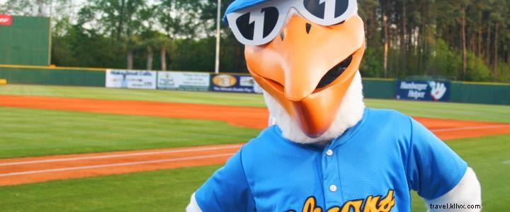 Myrtle Beach Pelicans 2018 Promotional Schedule: Unmissable Family Fun and Deals